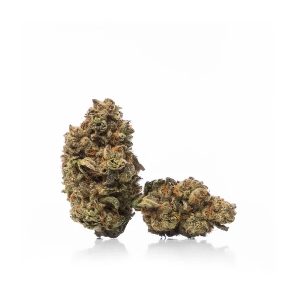 Two dried cannabis buds with a mix of green and orange hues against a plain white background.