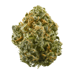 A close-up of a cannabis bud featuring green leaves with orange hairs and a frosty layer of trichomes. The bud is dense and slightly conical in shape, showcasing its texture and color against a white background.