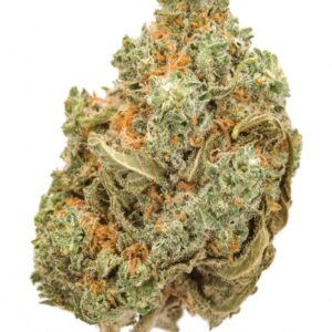 GMO COOKIES cannabis strain for sale in europe