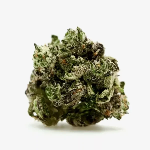 A photo of White-Truffle cannabiss strainfor sale online in europe