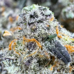 Close-up of a cannabis bud covered in frosty trichomes, with vibrant orange hairs and some purple leaves visible. The texture appears dense and crystalline.