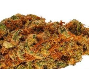 a photo of Le Tangerine Dream strain for sale in uk