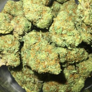 Cheese Marijuana Strain