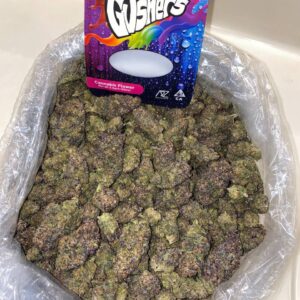 Gushers Marijuana Strain 