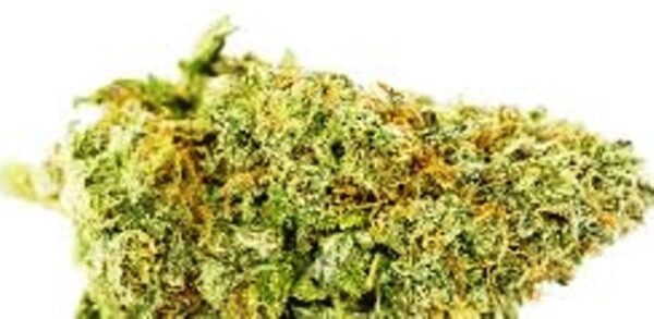 Psycho Dawg Marijuana Strain